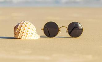 óculos de sol e vieiras em uma bela praia de verão. foto