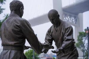 vladivostok, rússia-6 de julho de 2020 - o monumento aos lutadores à beira-mar tsarevich. foto