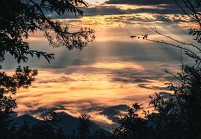 cenário de quadro de árvores coberto de nevoeiro dourado com céu dramático no pico da montanha ao nascer do sol foto