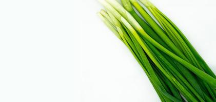 penas de cebola fresca verde em um fundo branco isolado com um espaço em branco para o seu texto foto