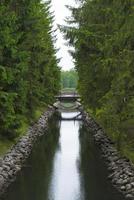 um pequeno canal de água com árvores coníferas e uma ponte. foto