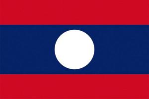 bandeira texturizada do laos foto