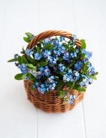 flores do miosótis na cesta foto