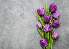 flores de tulipa da primavera foto