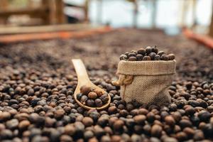 grãos de café são secos na estufa. foto