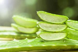 aloe vera fresco foto