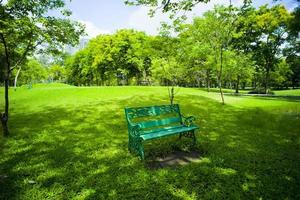 linda grama verde no parque foto