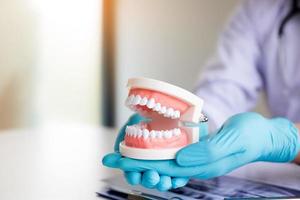 dentista segurando dentaduras na sala de escritório. foto