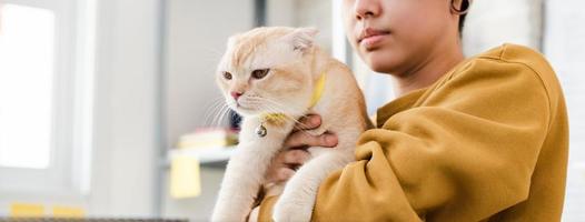 jovem proprietário feminino segurando lindo gato em seus braços foto