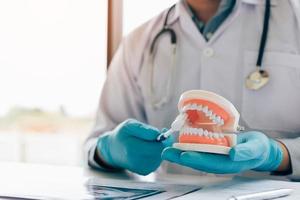 dentista de homem asiático está segurando a mandíbula de dentaduras mostrando como escovar os dentes. foto