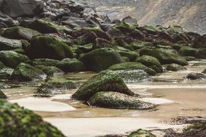 rochas costeiras e pedras cobertas de algas foto