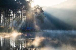 A luz do sol cênica da floresta de pinheiros brilha no reservatório de neblina de manhã em pang oung foto