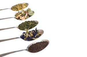 folhas de diferentes variedades de chá em colheres foto