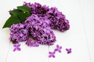 flores lilás em uma mesa foto