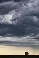 céu de pradaria de nuvens de tempestade foto