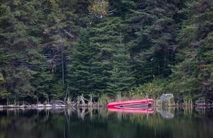 algonquin park muskoka ontario canoa vermelha foto
