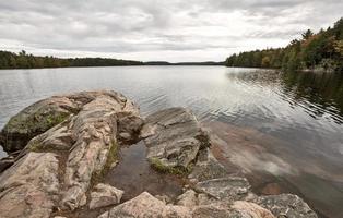 algonquin parque muskoka ontário lago ermo foto