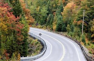 algonquin park muskoka ontario road foto