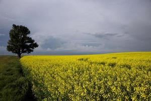 nuvens de tempestade saskatchewan foto