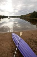 algonquin parque muskoka ontário lago ermo foto