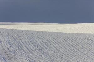 geada de inverno saskatchewan foto