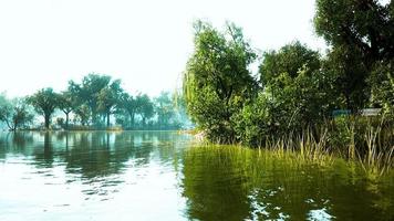 lagoa do parque central da cidade em dia de verão foto