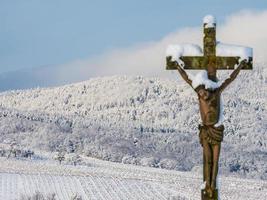 vinhas da Alsácia sob forte neve em um dia ensolarado de inverno. detalhes e vista superior. foto