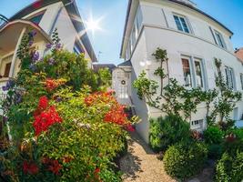 jardins floridos em Estrasburgo. bela cidade, muitas flores. clima de primavera. foto