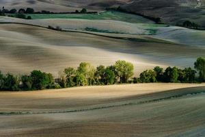outono na Itália. colinas aradas amarelas da Toscana com sombras e linhas interessantes foto