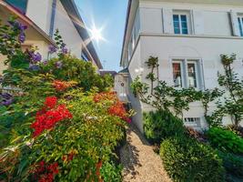 jardins floridos em Estrasburgo. bela cidade, muitas flores. clima de primavera. foto