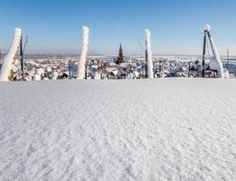 vinhas da Alsácia sob forte neve em um dia ensolarado de inverno. detalhes e vista superior. foto