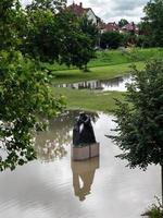 a inundação do rio Reno na Alemanha perto de Estrasburgo. foto