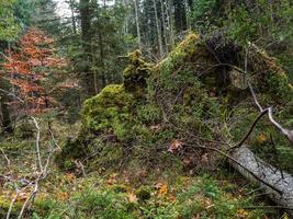 cores brilhantes de outono nas montanhas vosges. Alsácia. foto