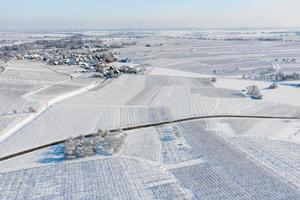 vinhas da Alsácia sob forte neve em um dia ensolarado de inverno. detalhes e vista superior. foto