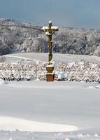 vinhas da Alsácia sob forte neve em um dia ensolarado de inverno. detalhes e vista superior. foto