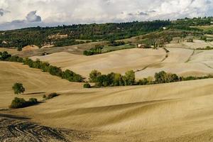 outono na Itália. colinas aradas amarelas da Toscana com sombras e linhas interessantes foto