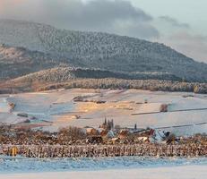 as cores quentes do sol poente no sopé nevado dos vosges. Alsácia. foto