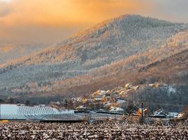 as cores quentes do sol poente no sopé nevado dos vosges. Alsácia. foto
