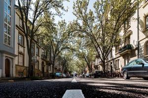 rua da cidade com cerejeiras brancas floridas, Estrasburgo foto