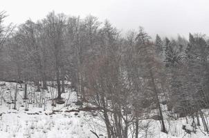 vista de balme, vale aosta foto