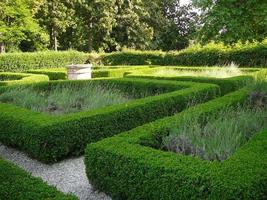 antiga villa foscari la malcontenta jardim em pádua padova em v foto