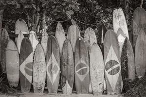 legal pranchas de surf bandeira brasileira ilha grande rio de janeiro brazil. foto