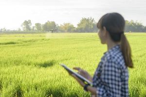 jovem agricultora inteligente com tablet em campo, inovações de alta tecnologia e agricultura inteligente foto