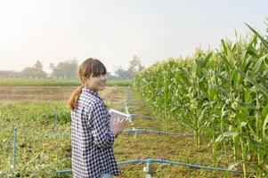 jovem agricultora inteligente com tablet em campo, inovações de alta tecnologia e agricultura inteligente foto