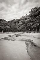 grande ilha tropical natural ilha grande santo antonio praia brasil. foto