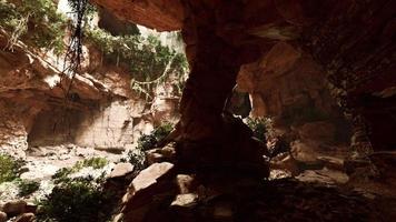 a vista dentro da caverna de fadas coberta de plantas verdes auto-iluminadas foto