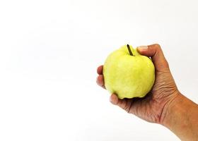 mão segurando frutas frescas de goiaba no fundo branco foto