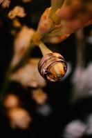 um par de alianças de casamento na flor foto