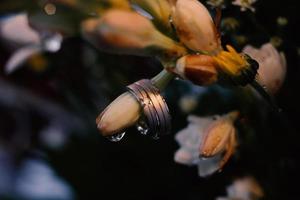 um par de anéis de casamento em um buquê de flores foto