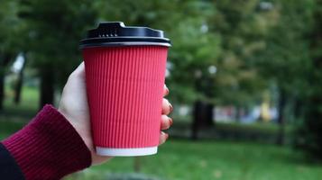 uma jovem de casaco detém café da manhã com ela enquanto caminhava no parque. mão segurando a xícara de café no parque verde. capuccino para viagem. close-up, copie o espaço. foto